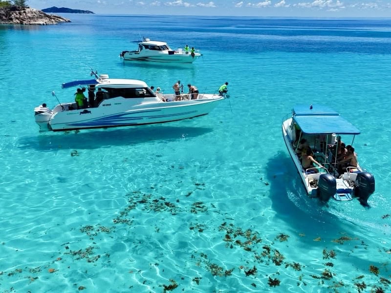 Granite & palms — Seychelles