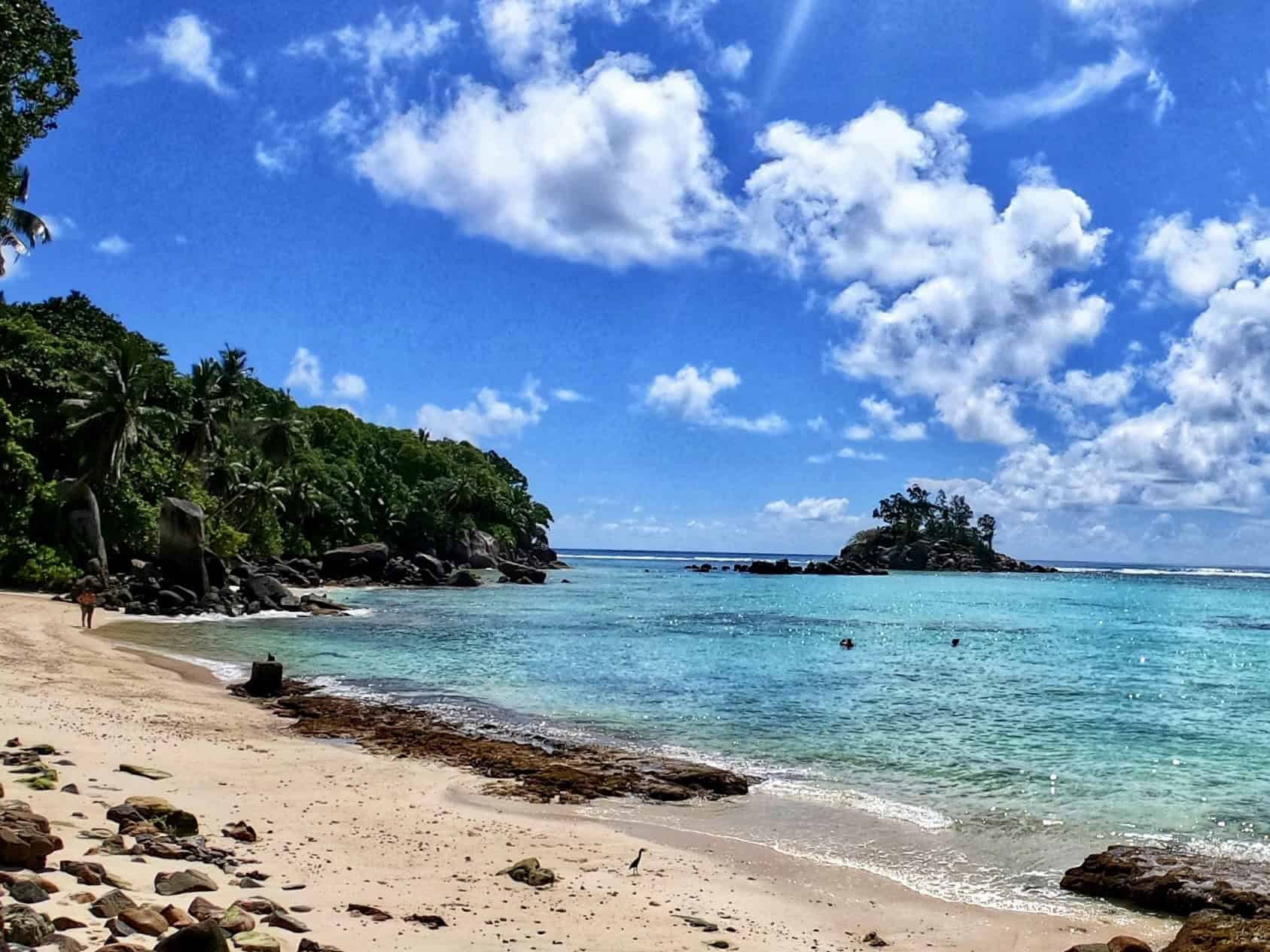 Plage de sable blanc avec eaux turquoise claires, cocotiers et rochers, sous un ciel bleu avec nuages, sur l'île de Mahé aux Seychelles.