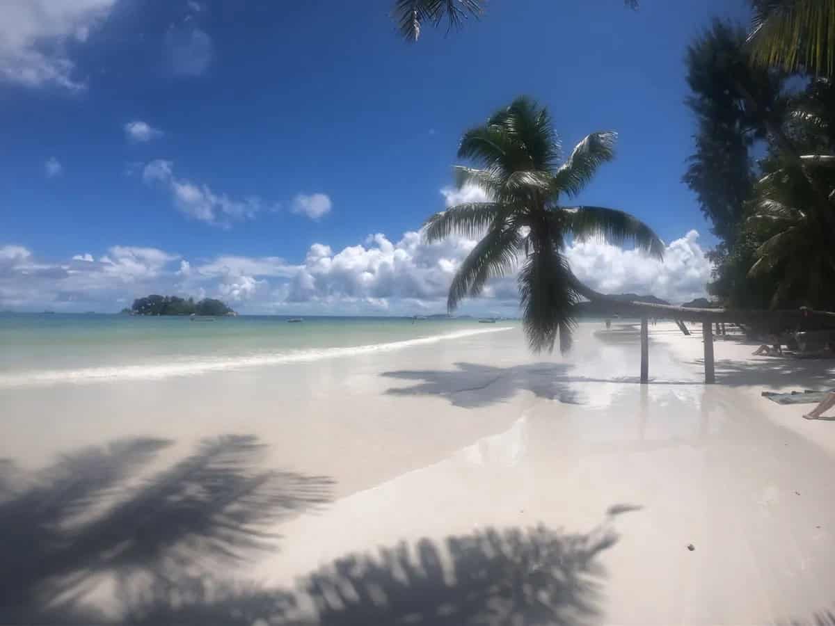 EN: Anse Volbert (Côte d’Or), Praslin — long palm-fringed beach with clear, gentle shallows | FR : Anse Volbert (Côte d’Or), Praslin — longue plage bordée de palmiers, eaux claires et peu profondes