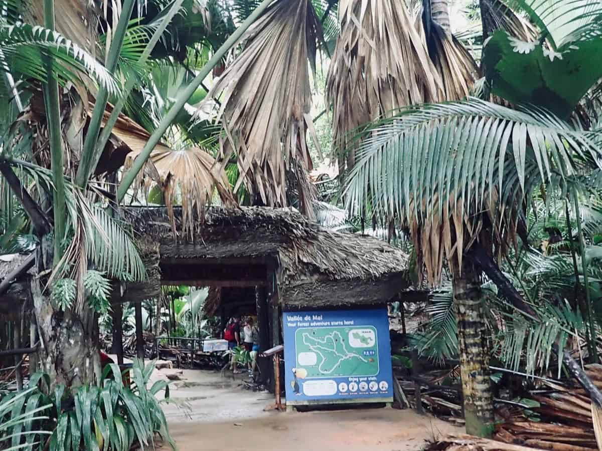 Seychelles parks and gardens — Vallée de Mai, Morne Seychellois