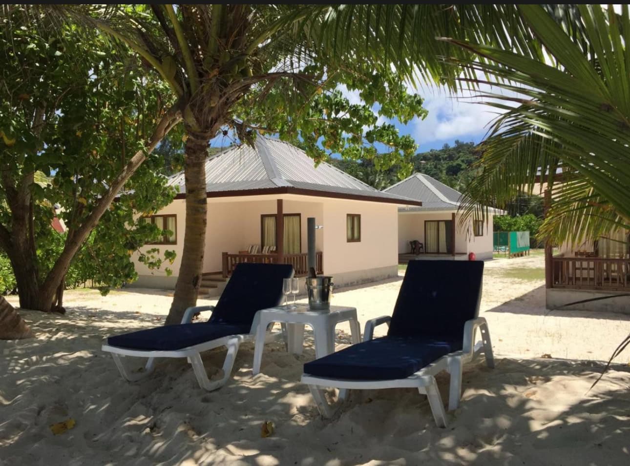 Seychelles beachfront bungalows with palm trees and lounge chairs on white sand, perfect for relaxing holidays.