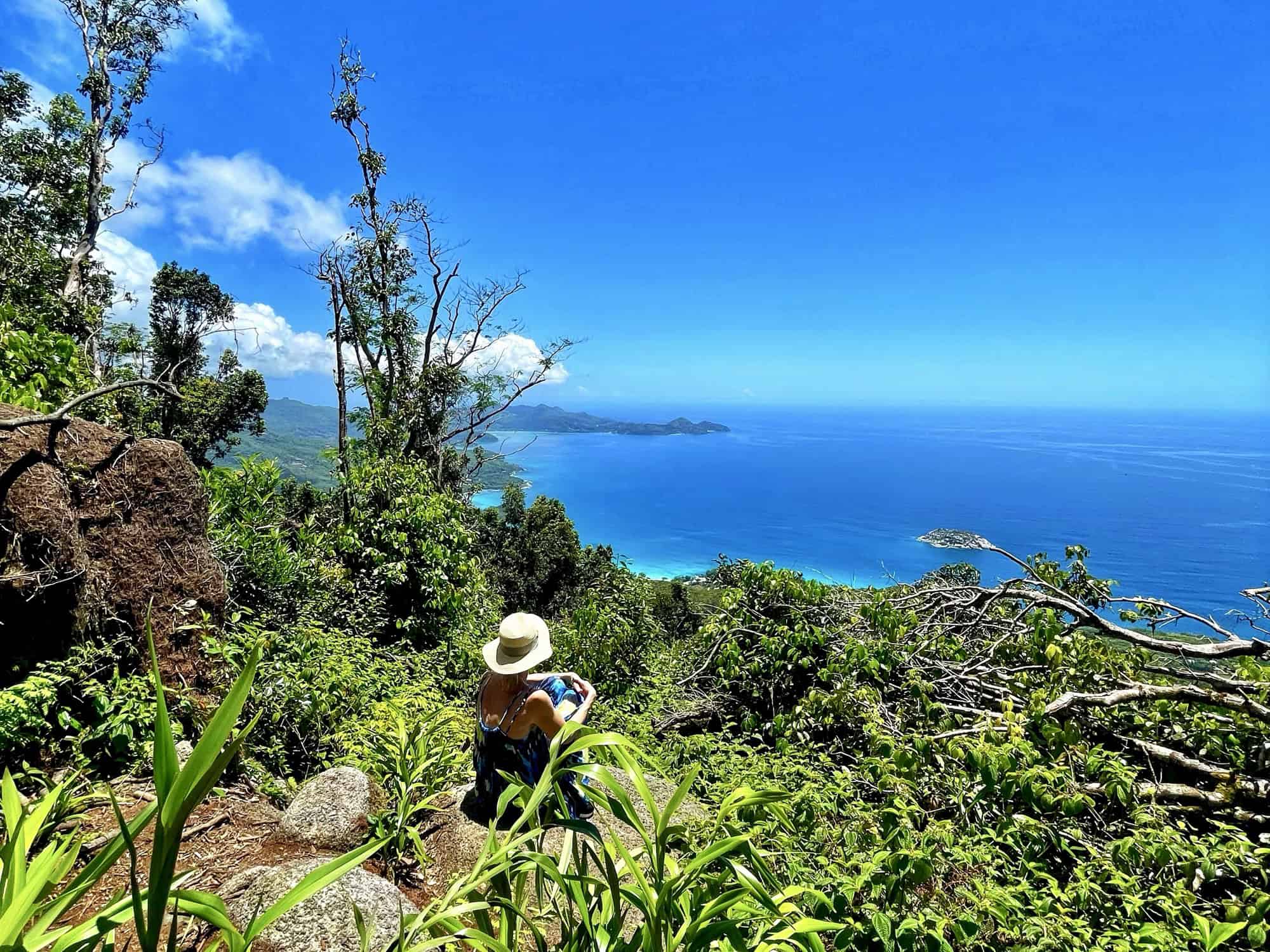 Morne Blanc Trail — cloud forest lookout / belvédère en forêt de nuages