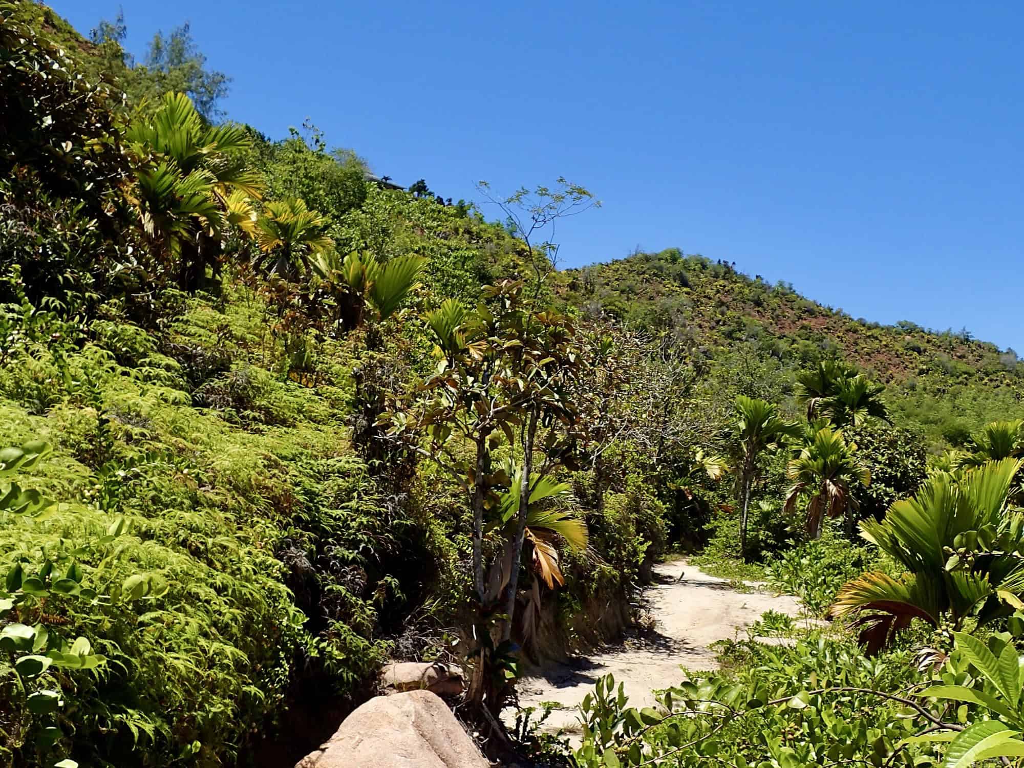 Coastal path between Anse Lazio and Anse Georgette, Praslin